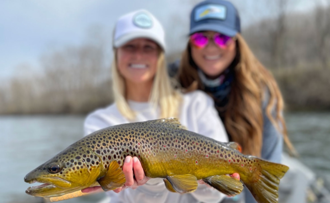 Arkansas: White River Fishing CME Course 2026