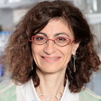Genevieve Almouzni