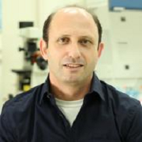 Noam Shomron