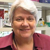 Denise A. Galloway