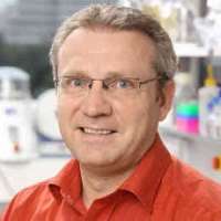 Andreas Weinhausel