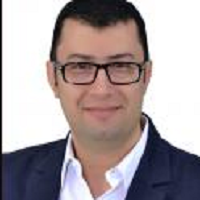 Tamer Abd-elsameea Mesallam
