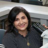 Ingrid D. Pardo