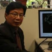 Steve Cui