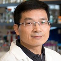 Shawn S.C Li