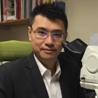 Anthony Wing Hung Chan