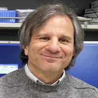 Ira Mellman