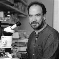 Mark B. Lewandoski