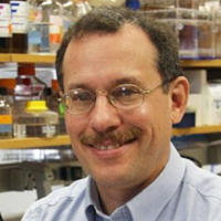 Gregory P. Adams