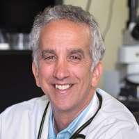 David Brownstein