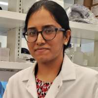 Jyothi Menon