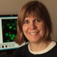 Melissa K. Gardner