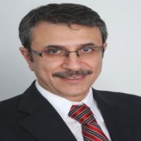 Mohamad Hamady
