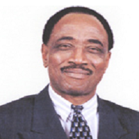 Godwin O. Mbagwu
