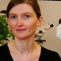 Magali Svrcek