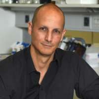 Nicolas Toni