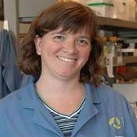 Laurie  E. Ailles