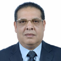 Mohamed Hanafi Salama