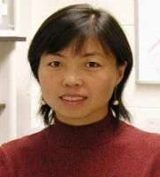 Xinyu Zhao