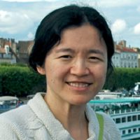 Jude D. Wang