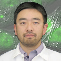Haruki Hasegawa