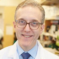 Jedd Wolchok
