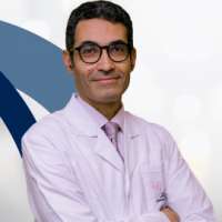 Fouad Zamel Ahmed Sadek