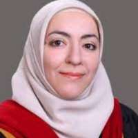 Nadin M. Abdel Razeq