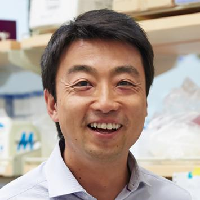 Shingo Kajimura
