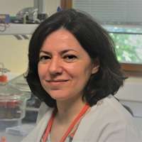 Maria Goreti Ferreira Sales