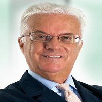Michele L. Zocchi