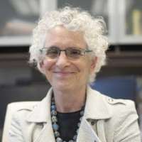 Ann Danoff