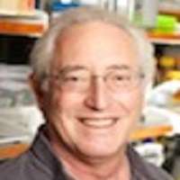 Lawrence S.B Goldstein