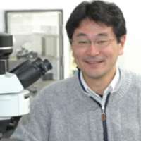 Shosei Yoshida