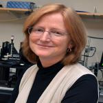 Ruth Anne Eatock