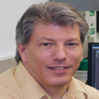 James B. Hoying