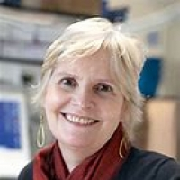 Judi Allen