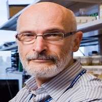 Alexander Y. Rudensky