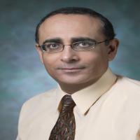 Ihab Kamel  