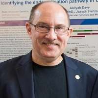 Joseph Heitman