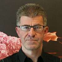 Jef Pinxteren