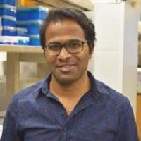 Chandrakanth Reddy Edamakanti