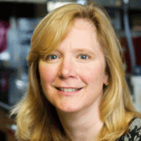 Frances E. Lund