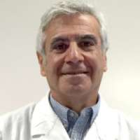 Leonardo Punzi