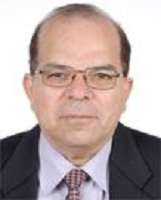 Bahaa Eldin Fateha