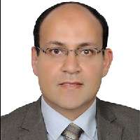 Emad M. Fathi