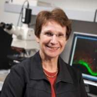 Joanne Weinberg