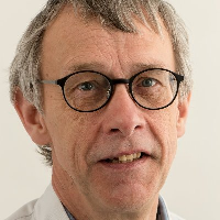 Martin J. van den Bent