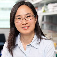 Yina H. Huang