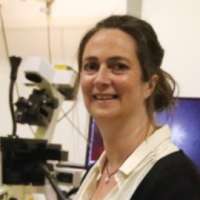 Marileen Dogterom
